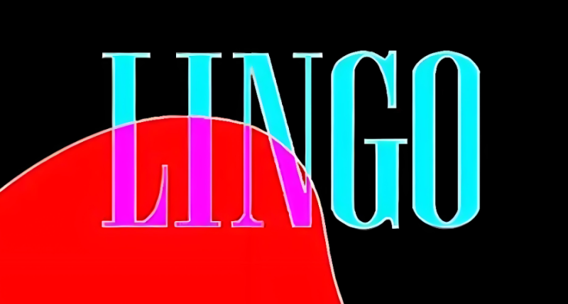 Lingo 求解器 网盘下载地址-捡俩软件